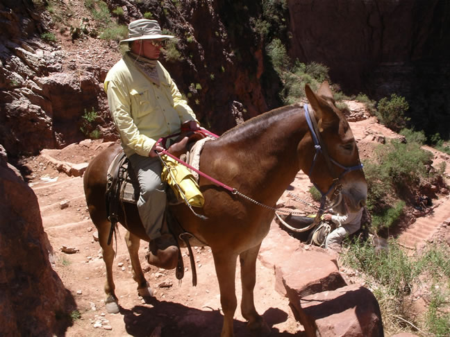 images/A-Mule Ride- returning to the Rim (30).jpg